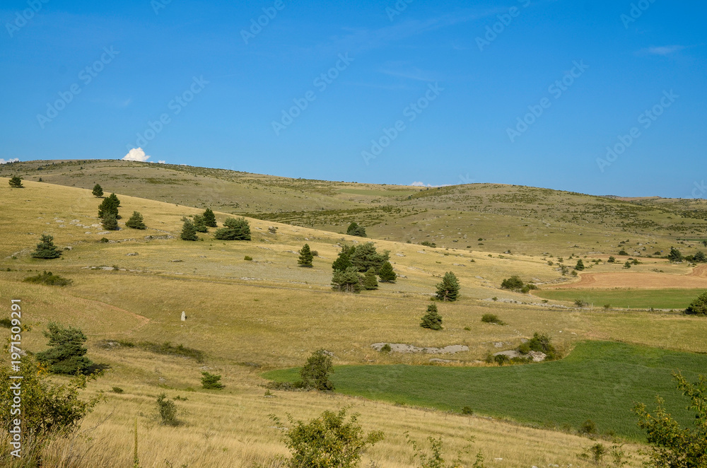 Fototapeta premium Lozère