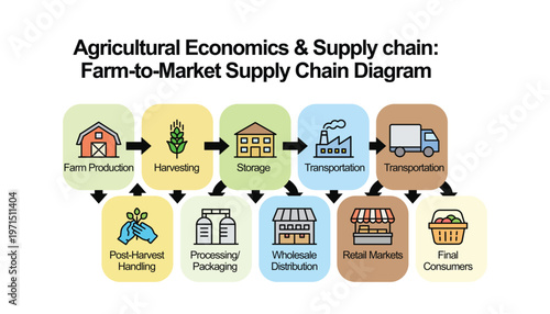Farm to market supply chain diagram illustrating agricultural economics