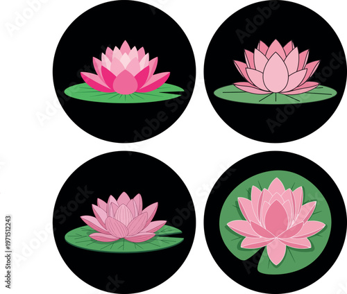 Solid Fill Lotus Vector Icon Flat Water Floral Nature in different variant
