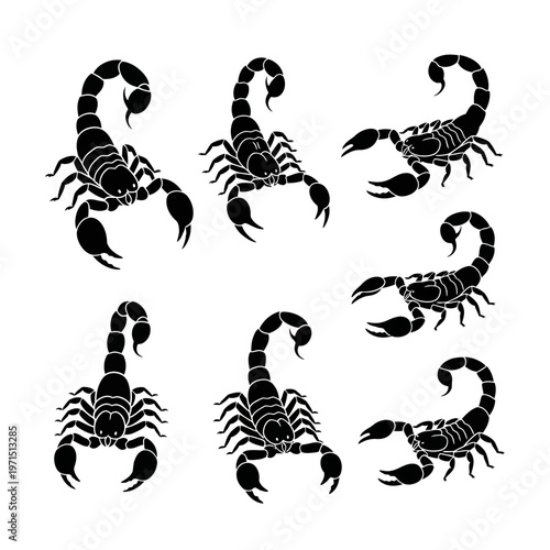 Scorpion Silhouette Collection Vector Art