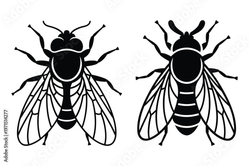Two black silhouette flies on white background