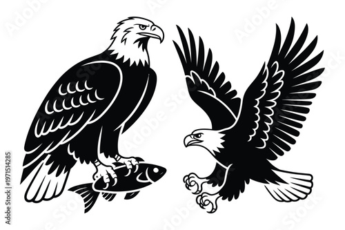 Bald eagle holding fish and flying eagle silhouette with national bird