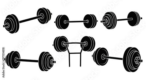 Weightlifting Barbell Set - Various Angles and Types, Gym Equipment Collection