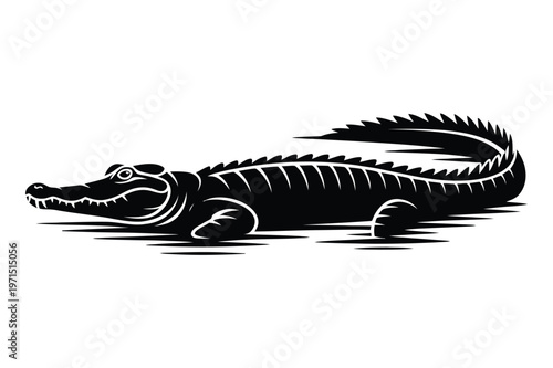 Alligator silhouette