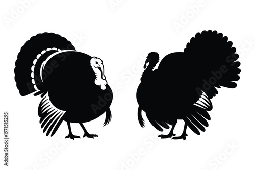 Male turkey birds standing silhouettes vector illustration