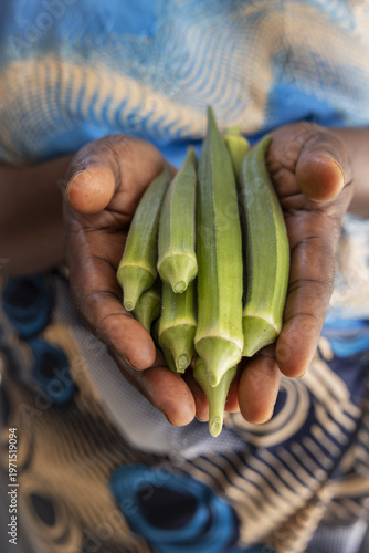 Farmer showing gumbos in Kilifi, Kenya