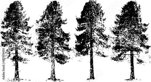 Four detailed black silhouette pine trees isolated on white background