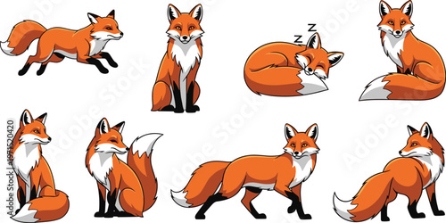 Cute Fox Vector Set Featuring Various Poses Including Sleeping, Walking, and Sitting Fox for Animal Design and Wildlife Illustrations