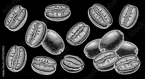 Coffee Beans Illustration.