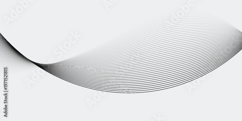 Abstract vector background with black wavy lines.