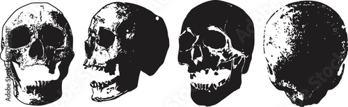 human skull multiple angles illustration anatomy detailed black and white drawing of human head bones