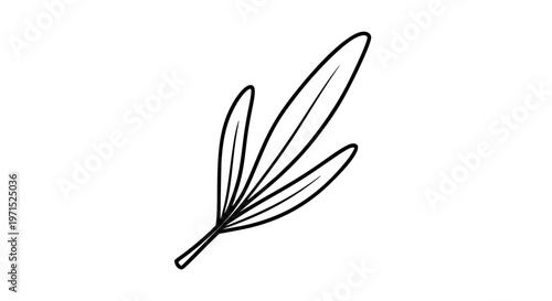 Tarragon leaf black white icon