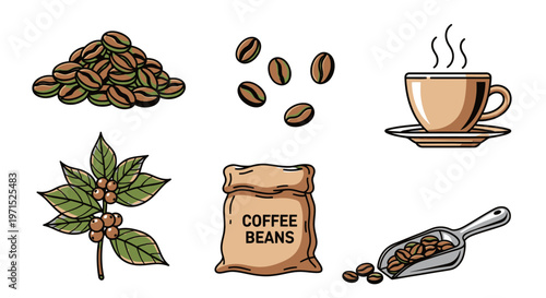 Coffee beans and coffee related objects.