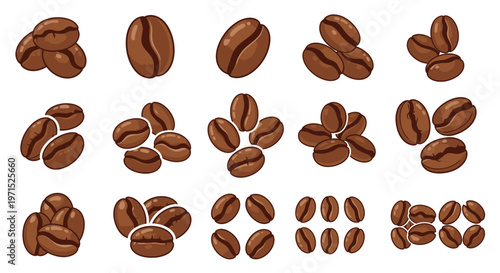 Coffee Beans Various Sizes Shapes.