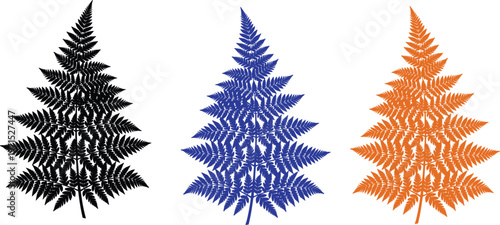 Fractal fern leaf patterns in black, blue, and orange colors showing geometric symmetry and natural repetition for abstract design illustration