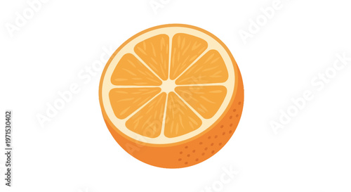 Fresh Cut Orange Fruit Segment.
