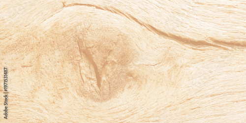 Light Natural Pine Wood Texture Background with Organic Grain and Knot Detail
