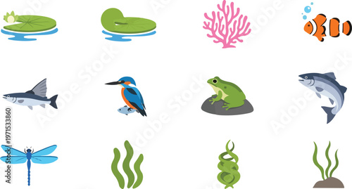 Marine life and aquatic plants collection featuring fish frog coral dragonfly and water lily icons for nature designs.
