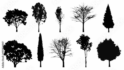 Collection of silhouetted trees in various shapes and sizes