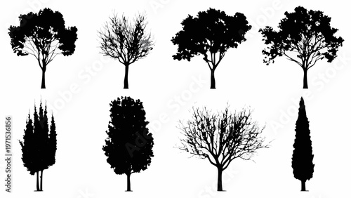 Collection of black silhouette trees with varied shapes and foliage