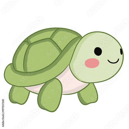 Illustration of a cute green turtle