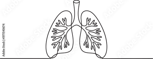 Continuous single line of human lungs showing bronchial tree structure in a minimalist black and white style isolated on a white background for medical or health related concepts