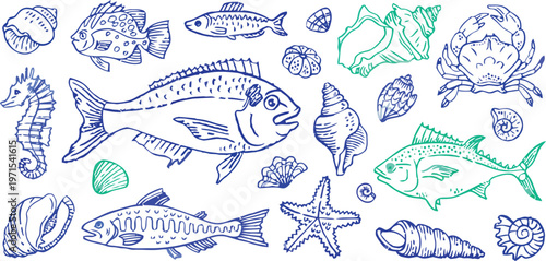 Whimsical blue sketch of various fish and marine life