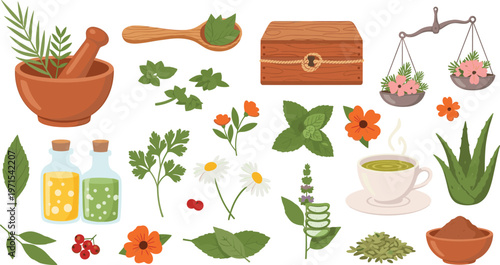 Vector Illustration of Herbal Plants, Teas, and Wellness Products Including Bottles, Herbs, and a Tea Cup