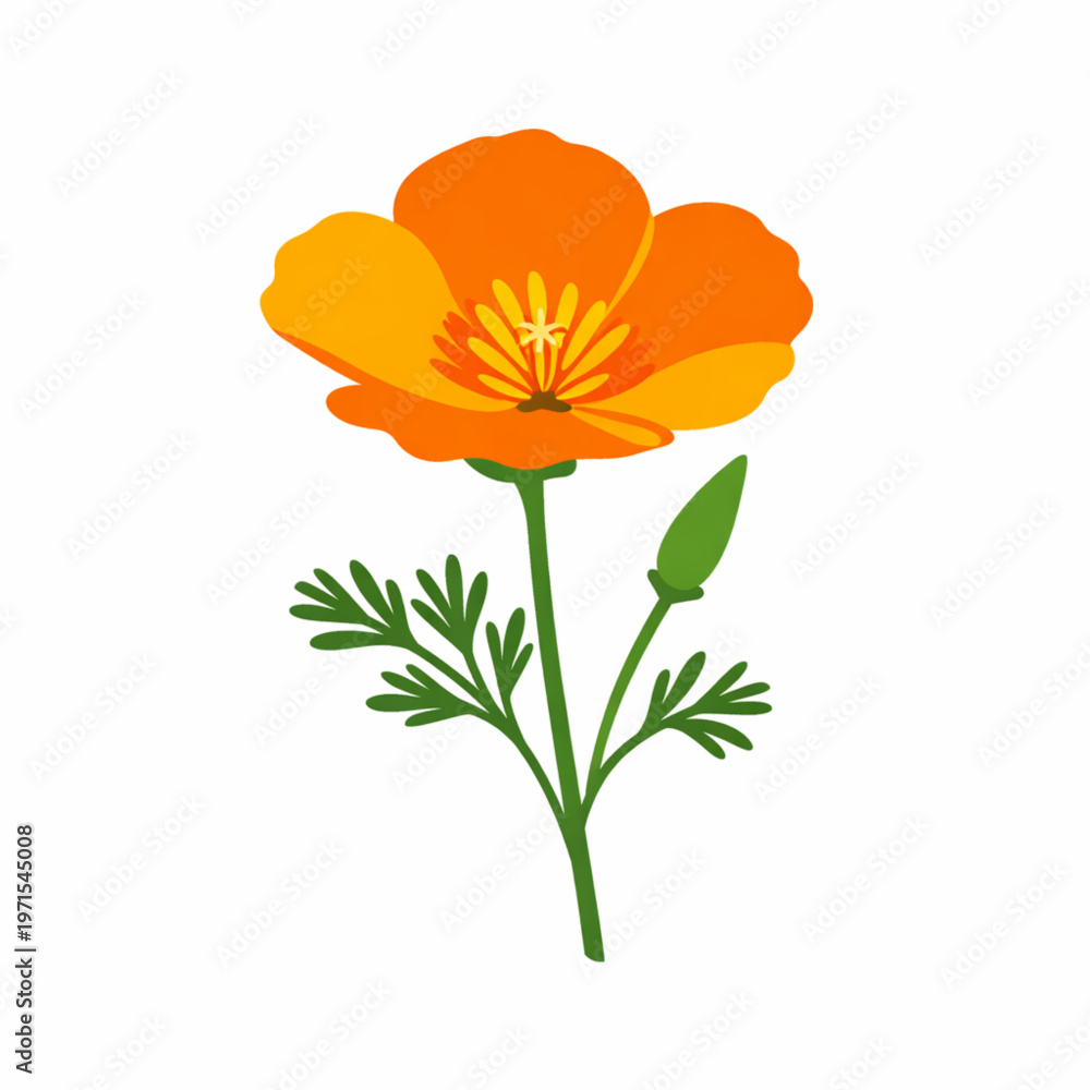 Obraz premium Orange california poppy flower botanical vector design