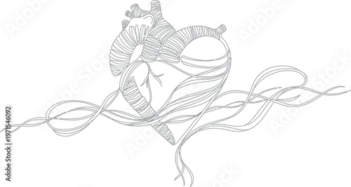 Detailed black and white line art illustration depicting an anatomical human heart intricately wrapped with flowing organic swirling ribbon elements.