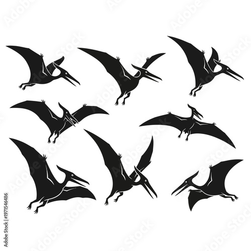Pterodactyl Flying Silhouette Collection