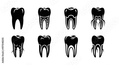 Set of Tooth Icons: Healthy, Damaged, and Diseased Dental Anatomy