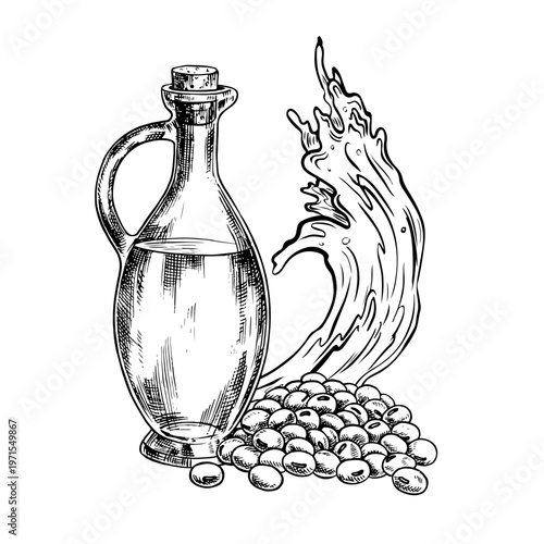 Soybean oil. A glass bottle, a handful of soybeans, and a splash of oil. Black and white vector graphics. For menus, recipes, and cookbooks. For banners, packaging, labels, and more.