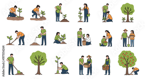Collection of people engaged in gardening activities like planting saplings, watering, and harvesting fruit from trees.