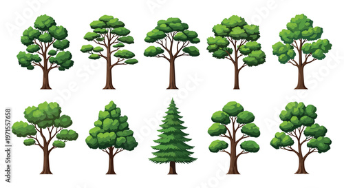 Comprehensive collection of various green tree types with different canopy shapes and foliage textures depicted on a plain white background.
