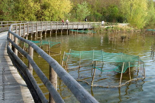 Fotografi Lacs de Viry-Chatillon et Grigny, Lacs revivifiés et sites naturels protégés, 91