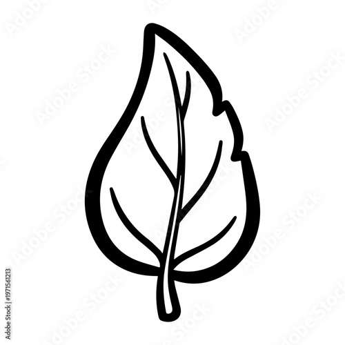 Single green leaf with prominent veins and a smooth edge outline in a simple graphic style representing nature and botany botanical environment illustration abstract