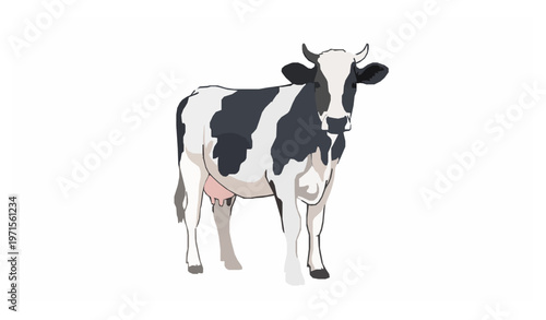 Modern spotted cow vector young cattle standing and looking forward isolated on white background