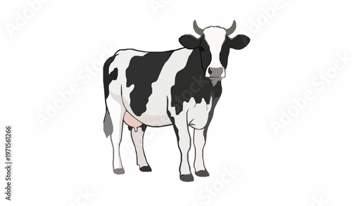 Young spotted cow standing front view vector with black and white patches isolated on white background