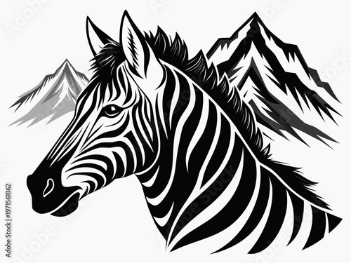 A striking black and white zebra head facing slightly to the right