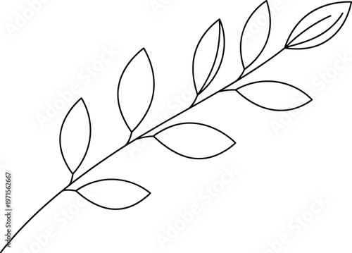 Delicate botanical sketch a simple branch with leaves