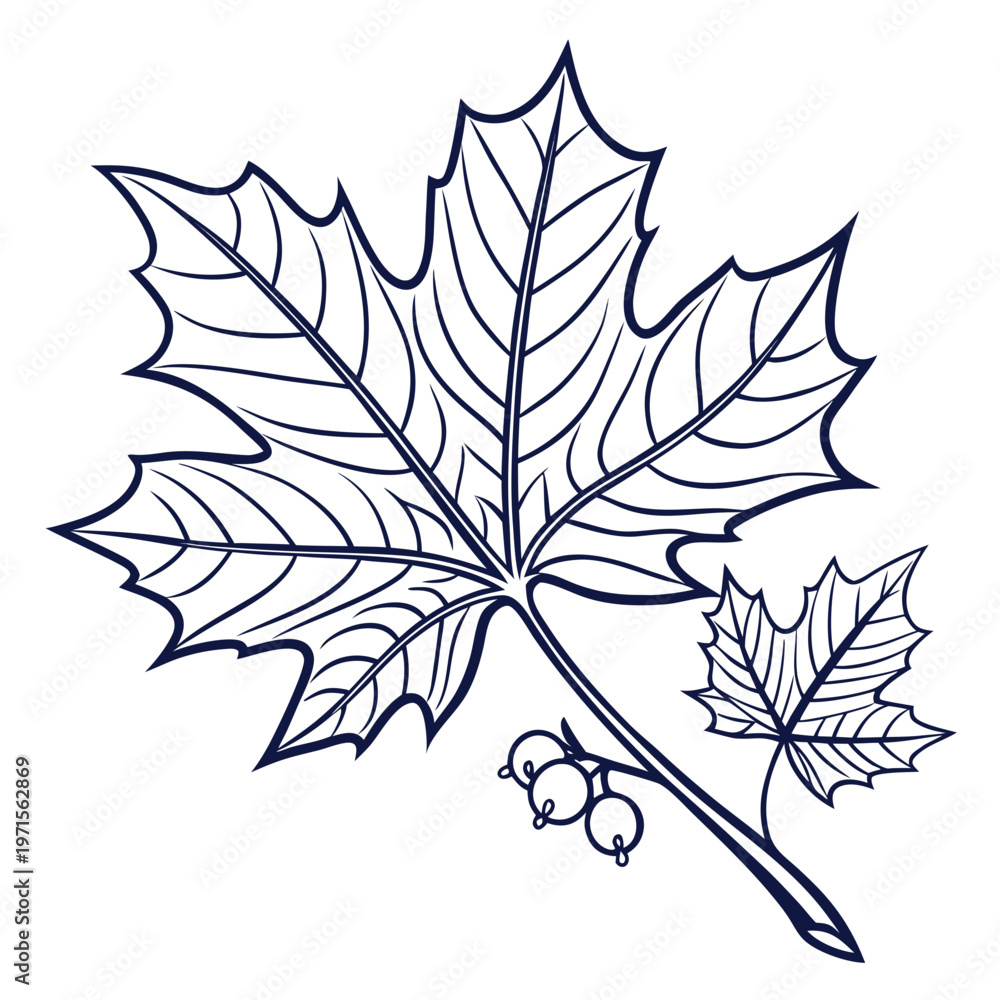 Fototapeta premium Maple Leaf Graphic Symbol 1