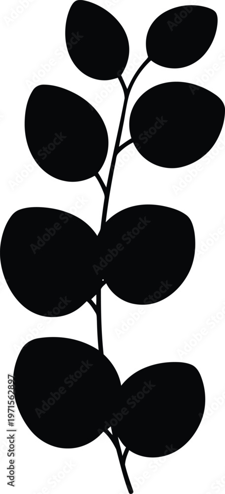 Fototapeta premium Black and white botanical illustration of a delicate branch with rounded leaves