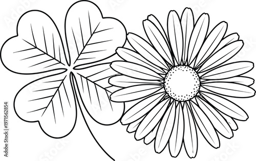 Delicate floral sketch two blooming daisies in black and white