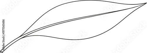 Silver leaf outline minimalist botanical sketch on a light gray background