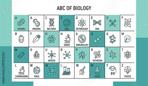 ABC of Biology Educational Alphabet Chart with Scientific Icons Including Amoeba, Bacteria, DNA, Cell, Virus, Chromosome and Laboratory Science Concepts Vector Illustration