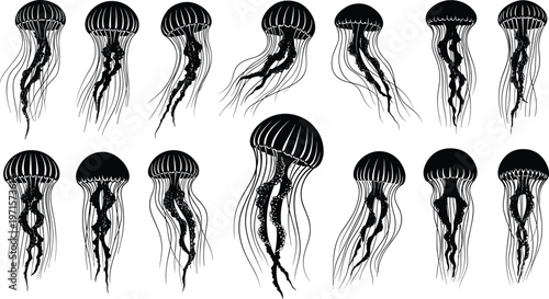 Tableau sur toile Jellyfish silhouettes collection, marine life set with detailed tentacles, ocean