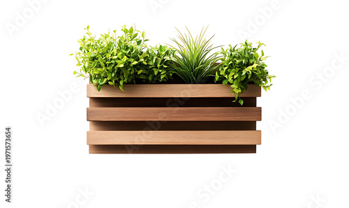 Wooden planter box with lush green plants and leafy foliage for home decor. png