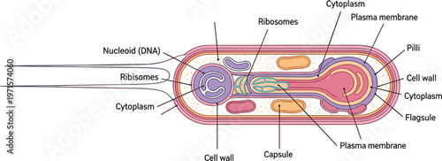 Biotechnology Research Concept Illustration with DNA Helix, Microscope, Molecular Structure, Laboratory Experiments, and Global Science Innovation Vector Scene