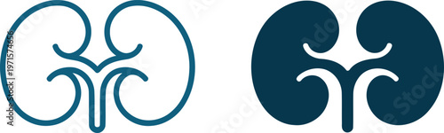 Kidney icons with line and filled styles for medical and health concepts  human organ illustrations